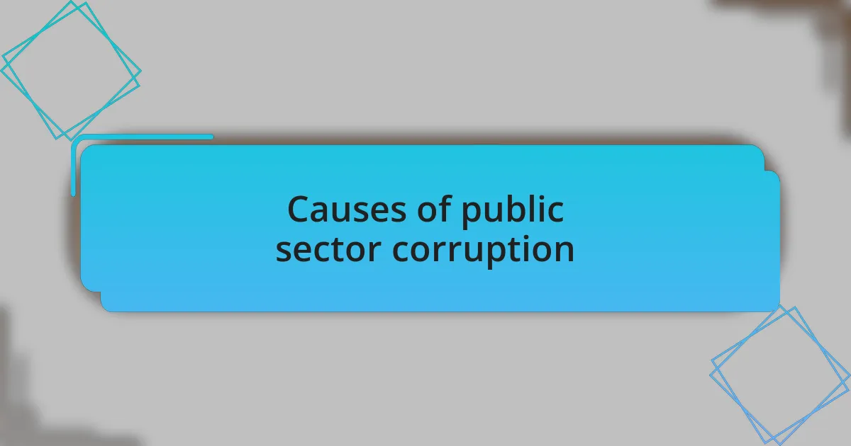 Causes of public sector corruption