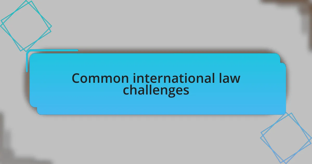 Common international law challenges