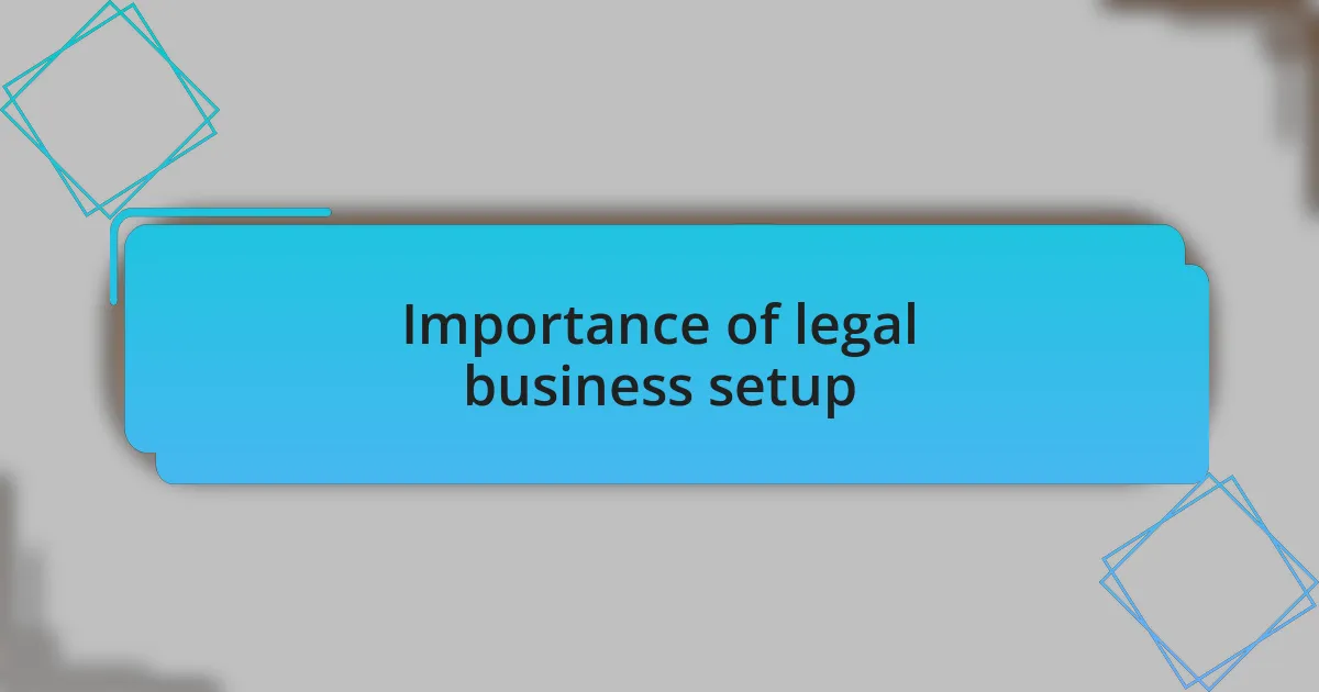 Importance of legal business setup